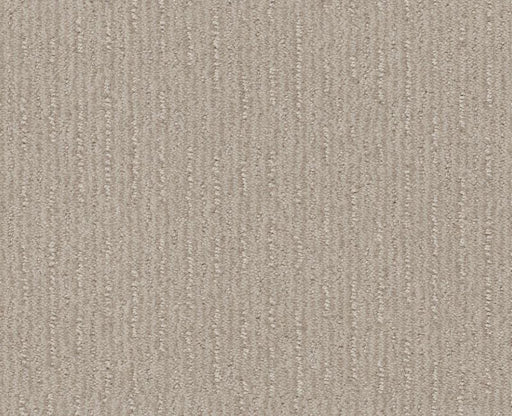 Well Informed Alabaster 00176