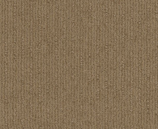 Well Informed Gold Rush 00270