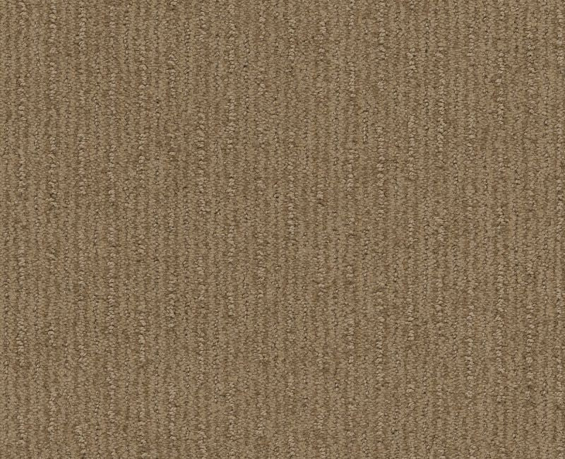 Well Informed Gold Rush 00270