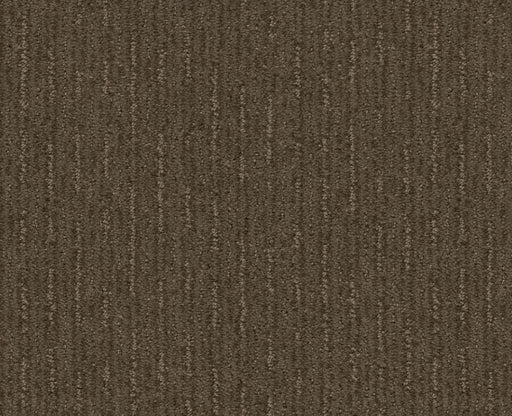 Well Informed Antique Chest 00774