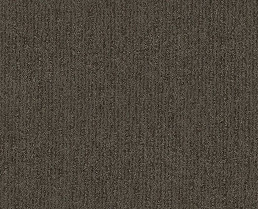 Well Informed Iron Gate 00775