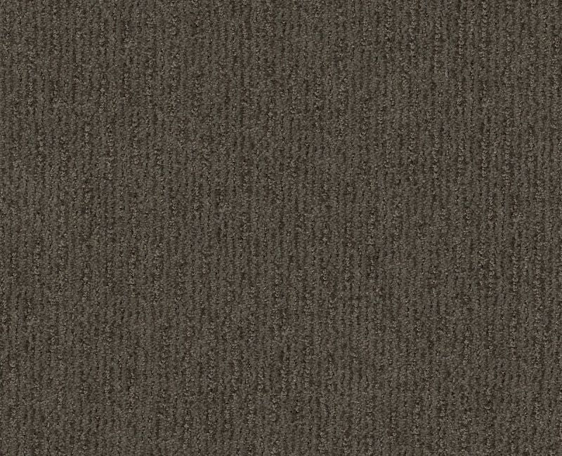 Well Informed Iron Gate 00775