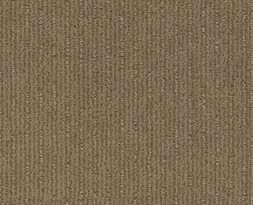 Well Informed Summerville 00776