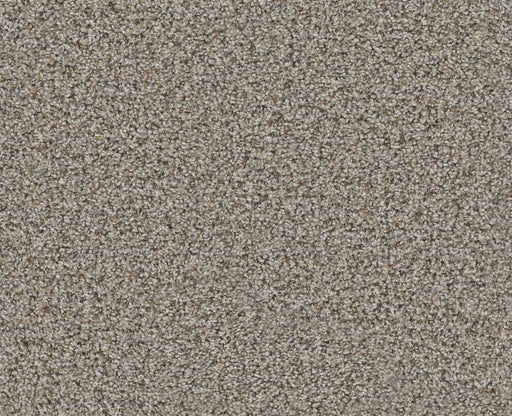 Privy Cobble Stone 00573