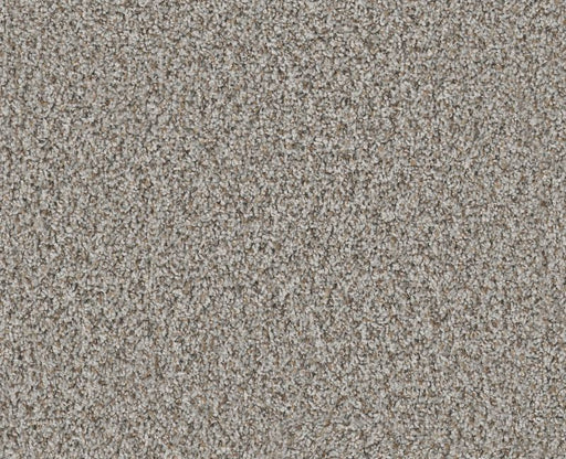 Privy Trade Wind 00576