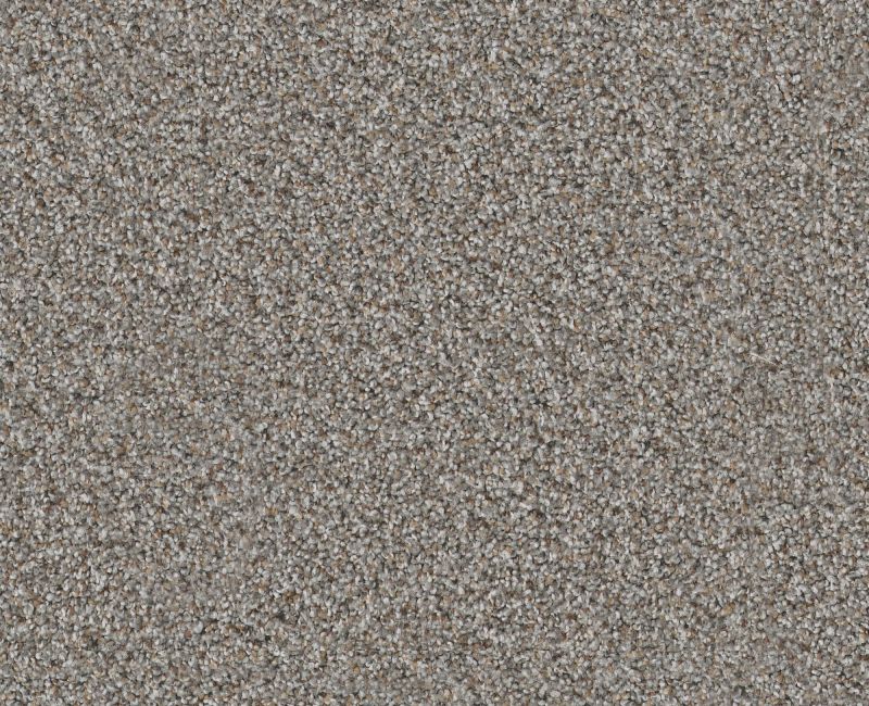 Privy Chat Room 00577