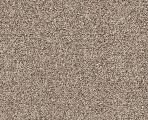 Privy Sands Of Time 00770