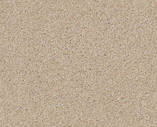 On The Brink II Boutique 00191