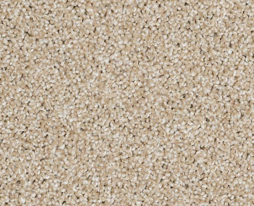 On The Brink I Gold Rush 00290