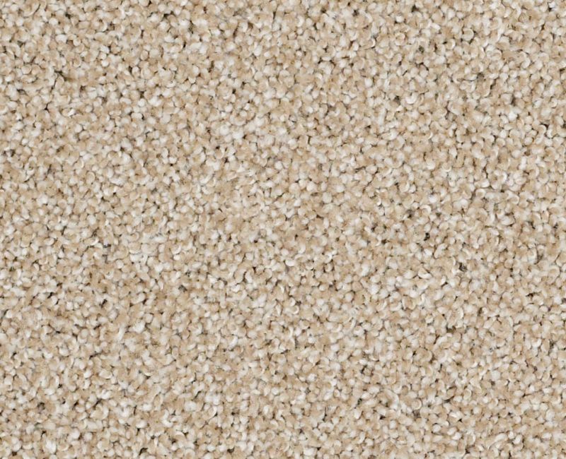 On The Brink I Gold Rush 00290