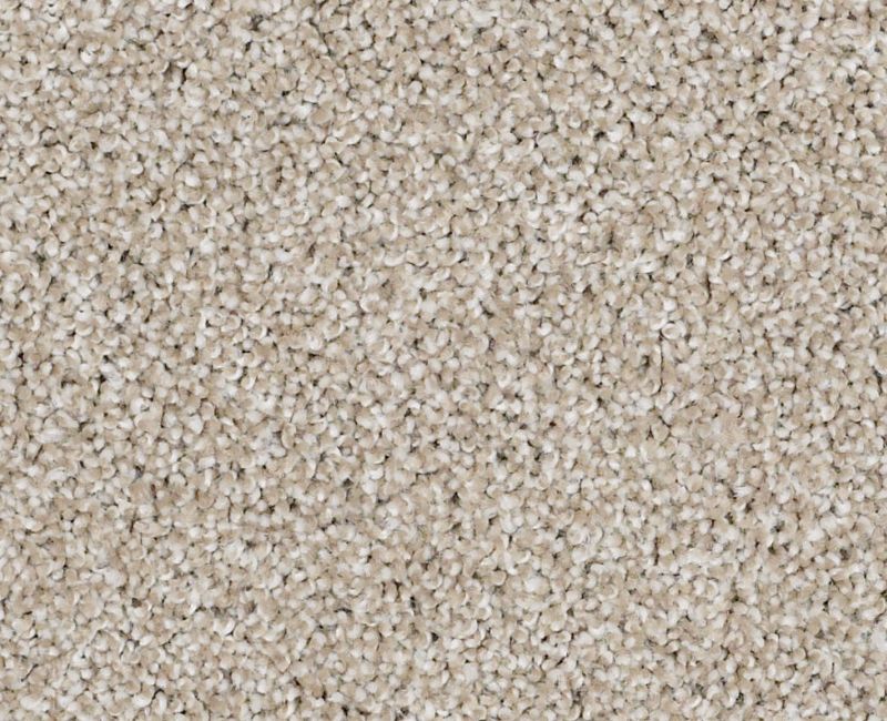 On The Brink II Biscotti 00791