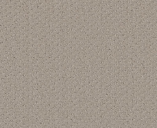 Pure Instinct Studio Taupe 00173