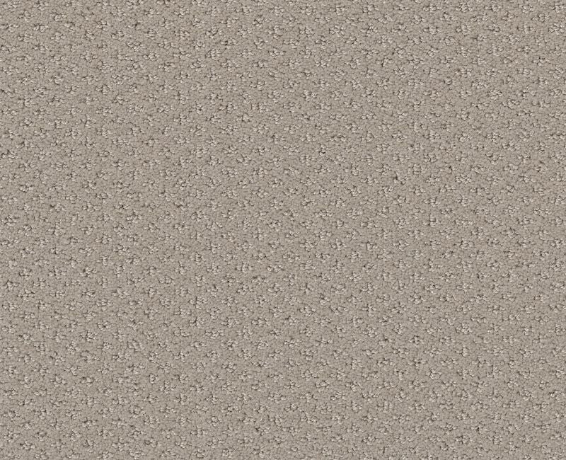 Pure Instinct Studio Taupe 00173