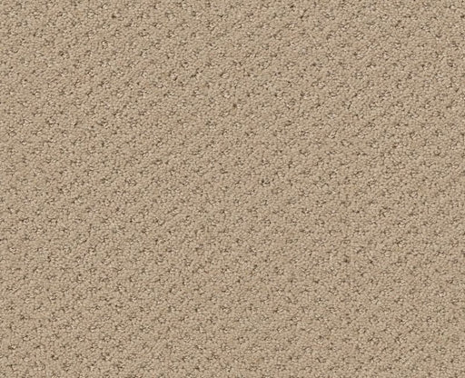 Pure Instinct Soft Honey 00182