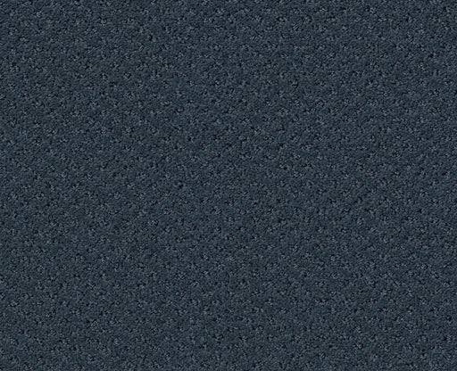 Pure Instinct Modern Spaces 00473