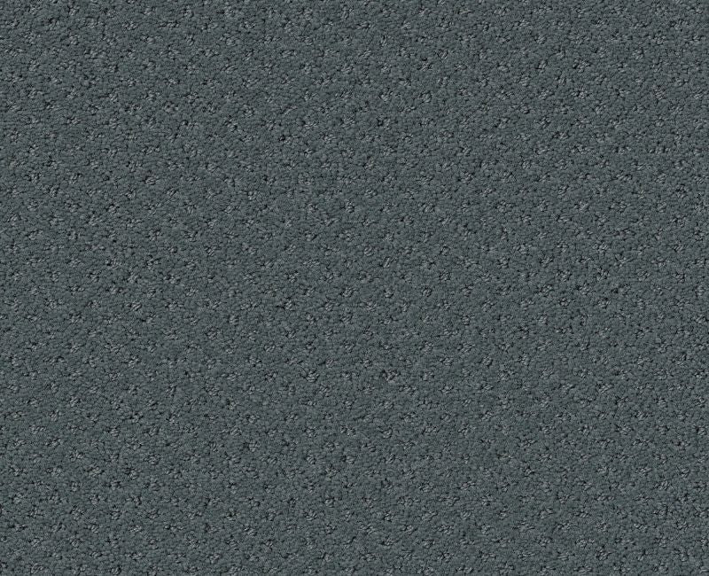 Pure Instinct Voyage 00480