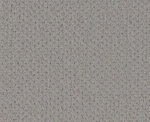 Pure Instinct Silhouette 00570