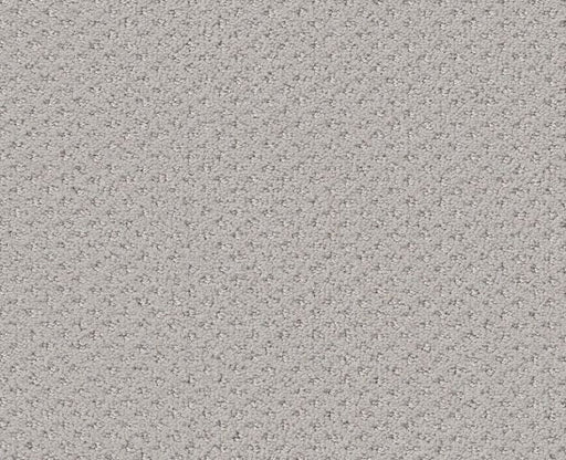 Pure Instinct Etched Glass 00576