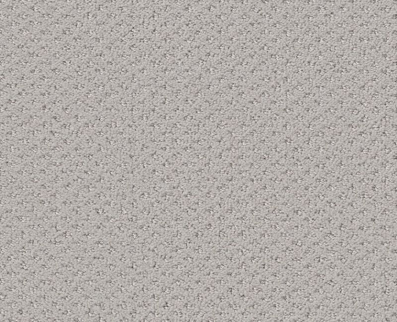 Pure Instinct Etched Glass 00576