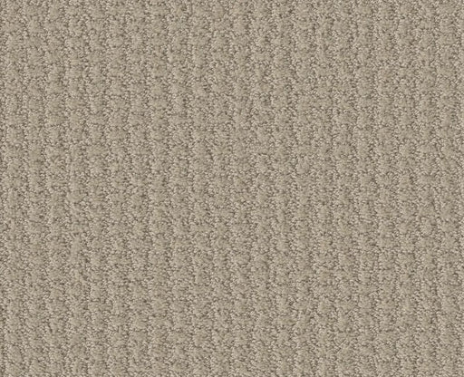 Lose Control Studio Taupe 00173
