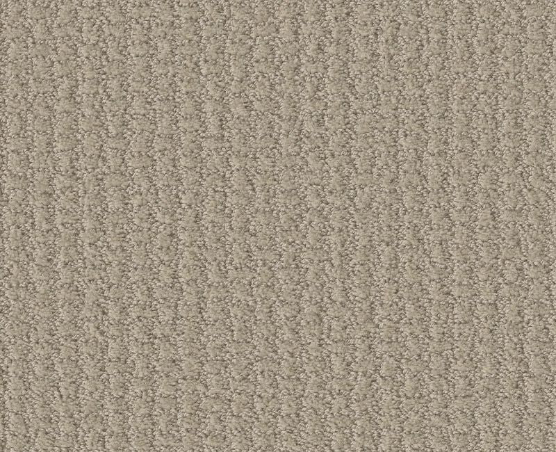 Lose Control Studio Taupe 00173