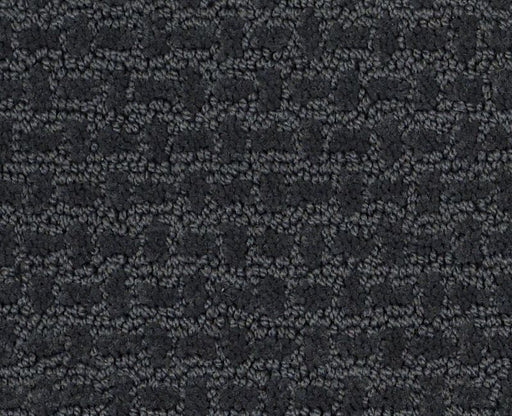 Lose Control Moon Bay 00481