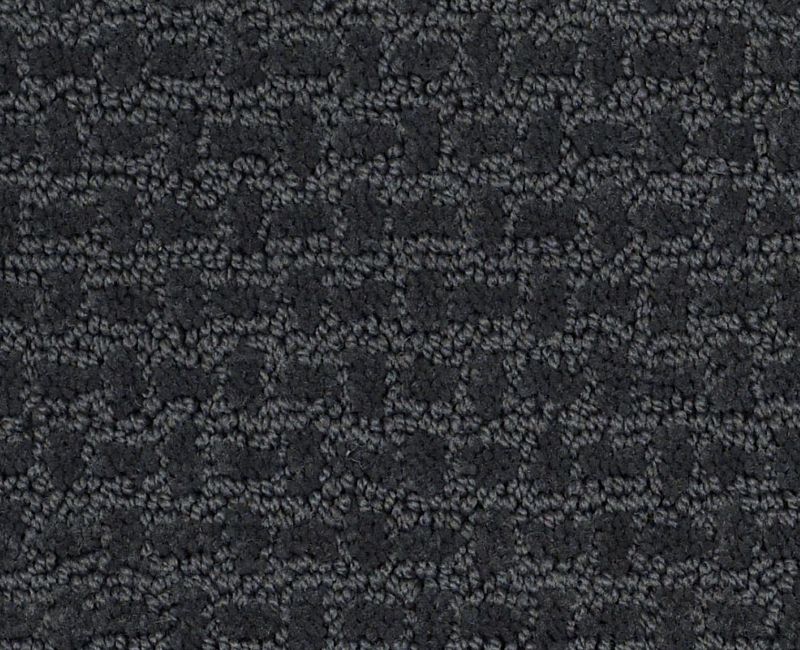 Lose Control Moon Bay 00481