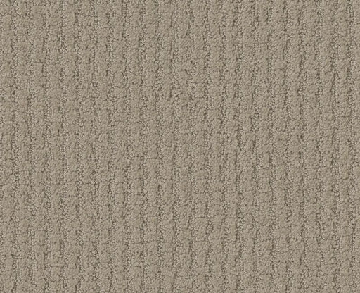 Lose Control Park Avenue 00770