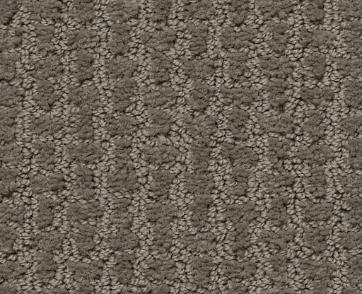 Lose Control Front Gate 00773