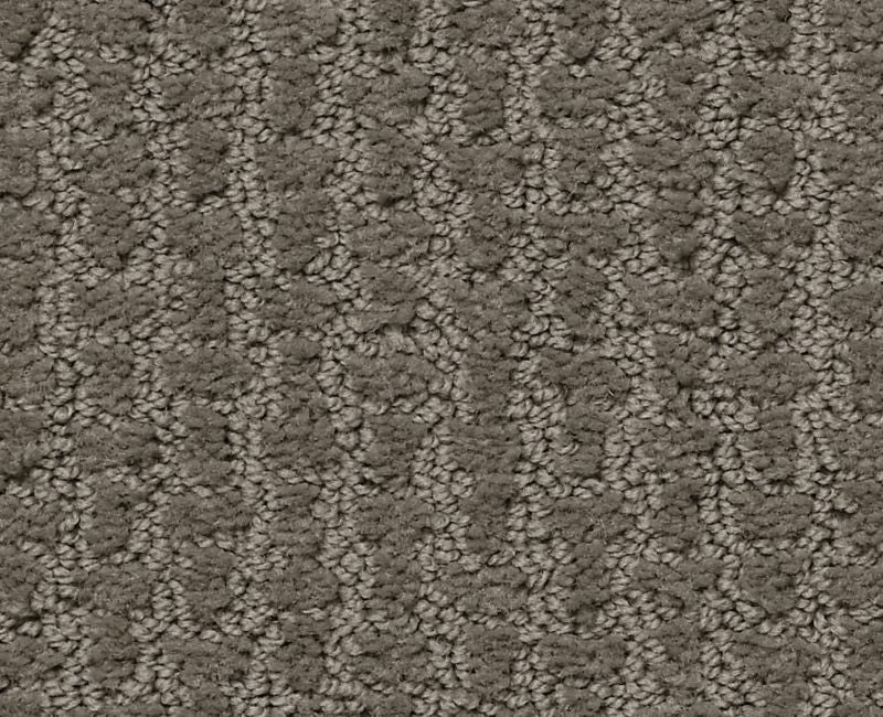 Lose Control Front Gate 00773