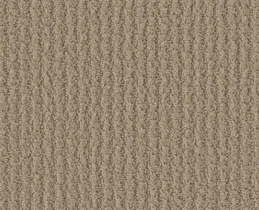 Lose Control Biscotti 00783