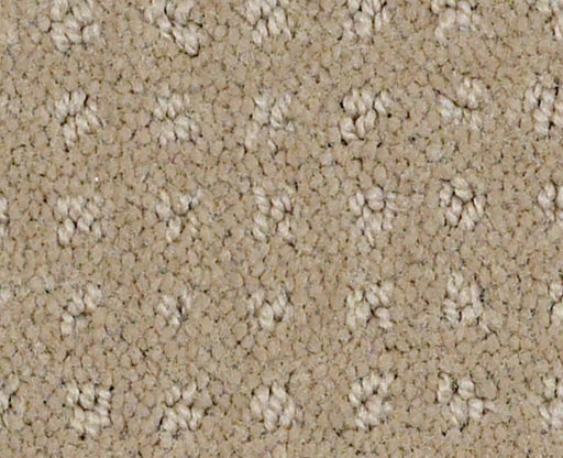 Global Chic Safari 00188