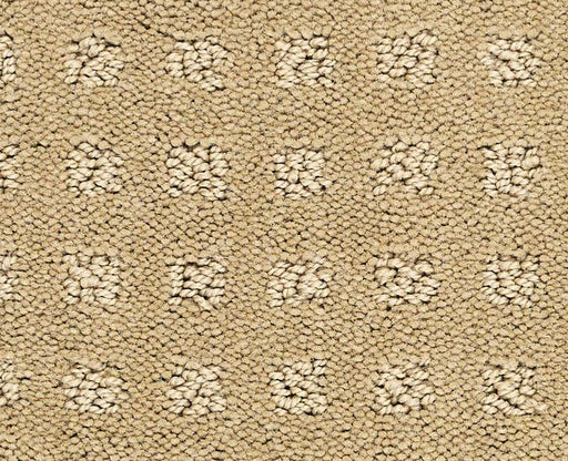 Global Chic Warmth 00782