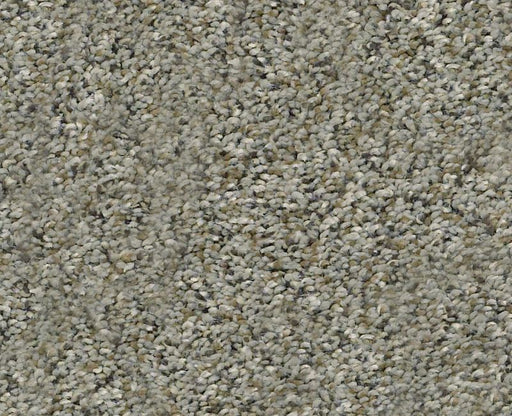 Watts Up II Beach Walk 00702