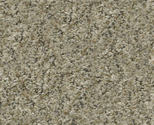 Watts Up I Tree House 00703