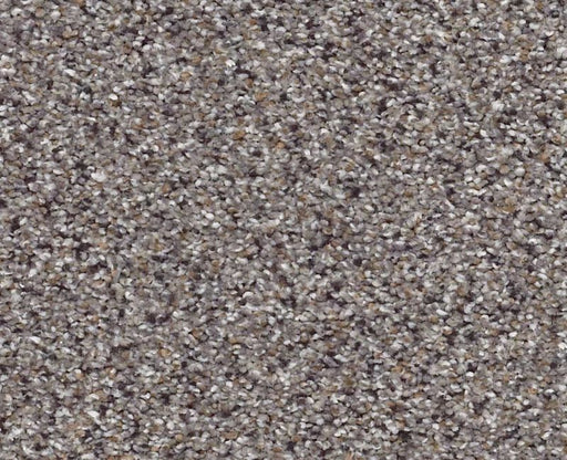 Color Express Accent I Soapstone 00571