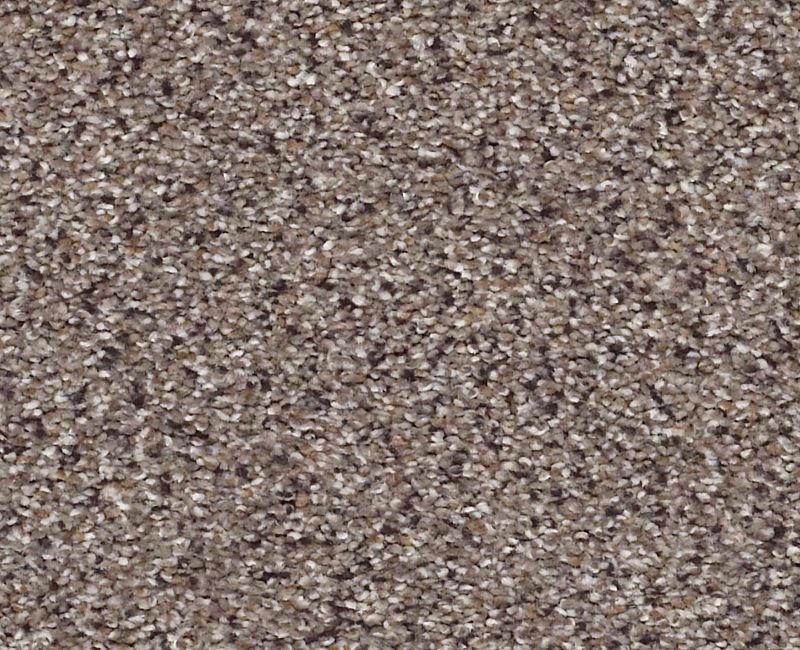 Shaw Color Express Accent II 00771 Storm Carpet — Stone & Tile Shoppe, Inc.