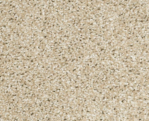 Uncomplicated Dunes 00102