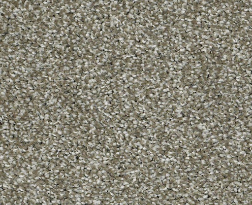 Uncomplicated Silver Sage 00310