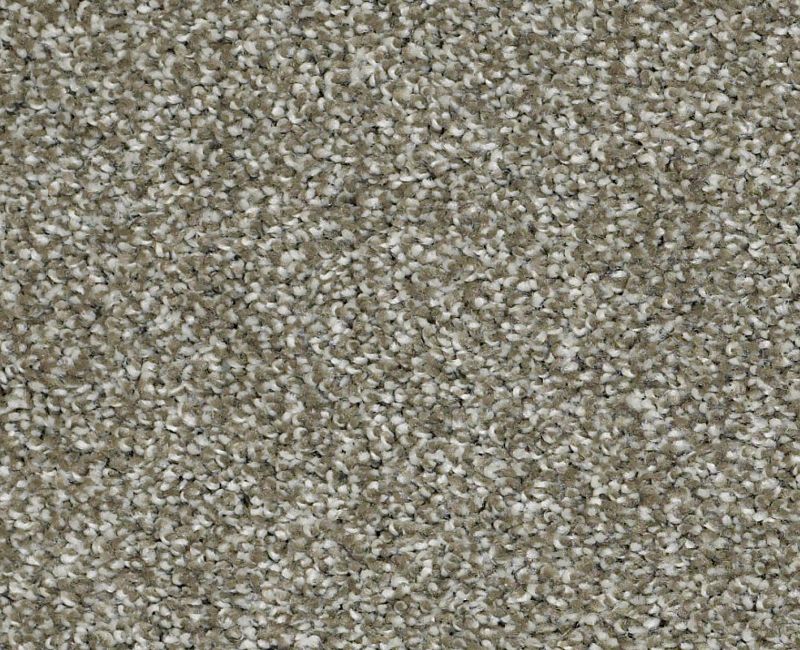 Uncomplicated Silver Sage 00310