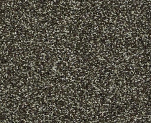 Uncomplicated Garden Retreat 00311