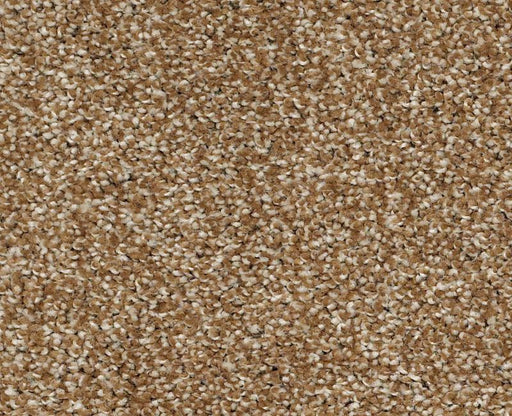 Uncomplicated Leather Bound 00702