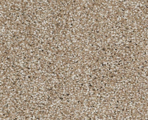 Uncomplicated Mushroom 00703