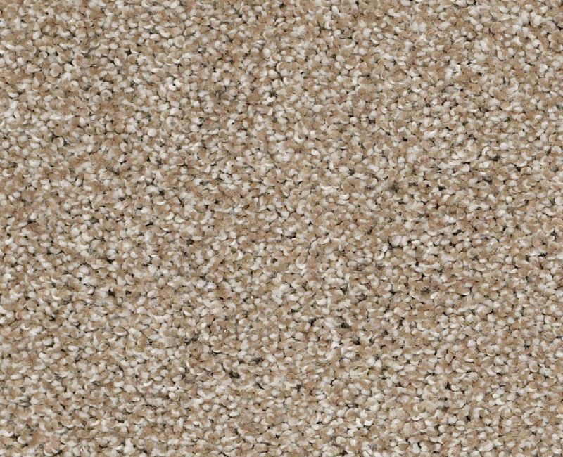 Uncomplicated Mushroom 00703