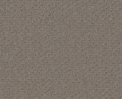 Meaningful Design Gray Flannel 00511