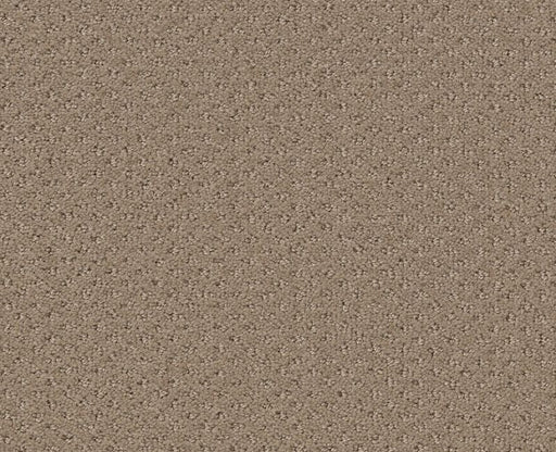 Meaningful Design Mushroom 00703