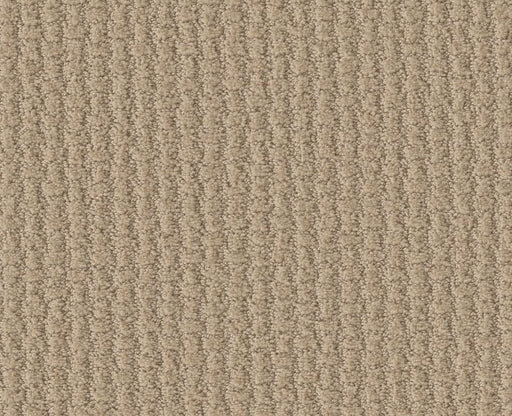 World View Dunes 00102