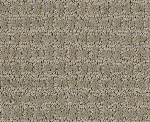 World View Gray Flannel 00511