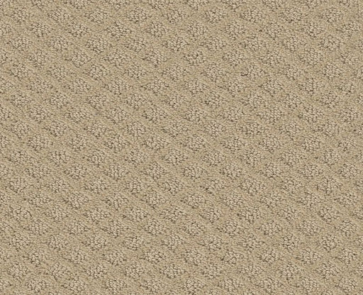 Nature's Own Dunes 00102