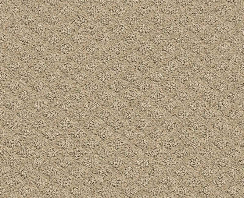 Nature's Own Dunes 00102